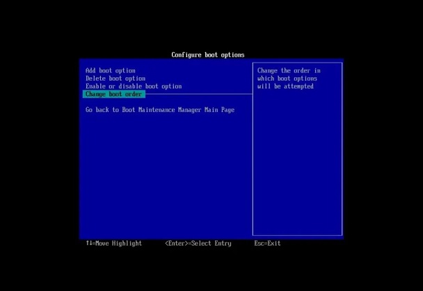 BIOS mode Configure boot options menu
